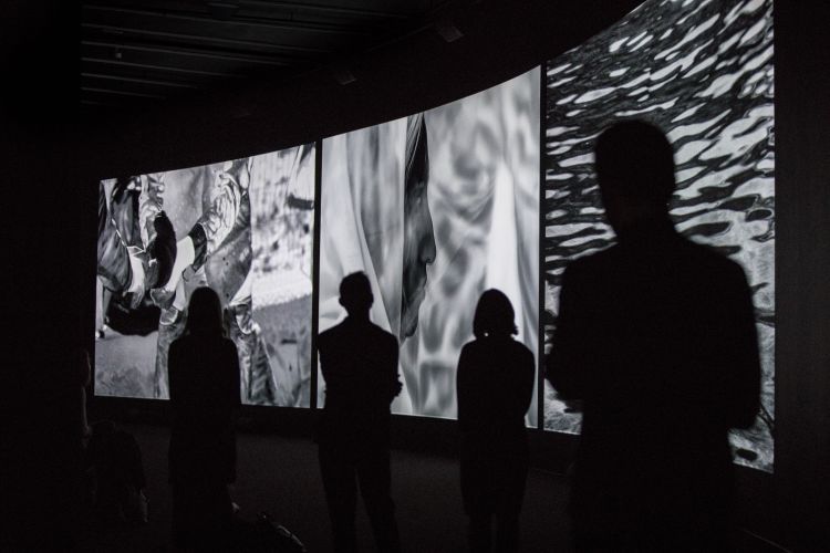 Installation view of Richard Mosse: Incoming