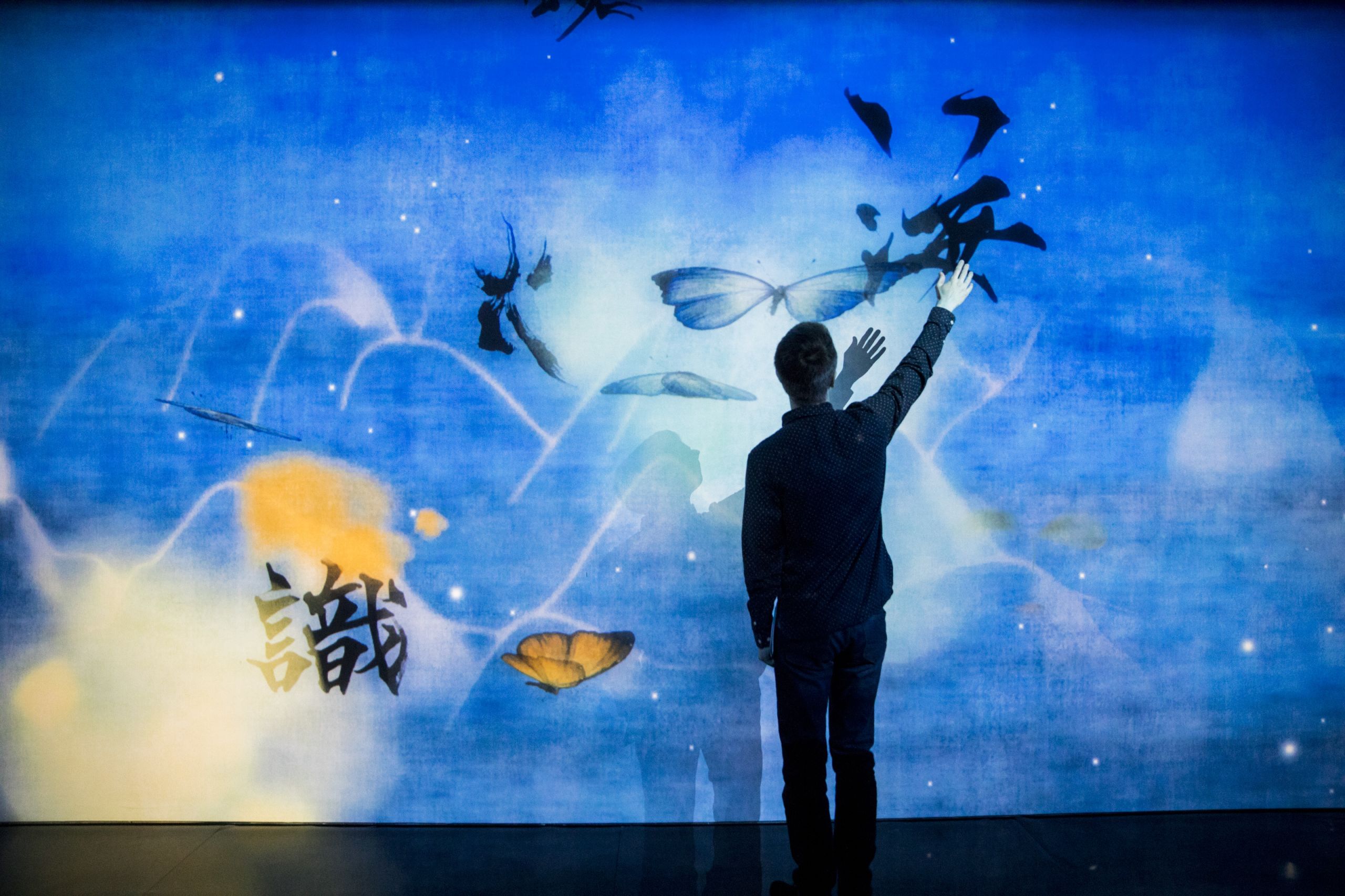 A figure reaches to touch a video projection of a butterfly