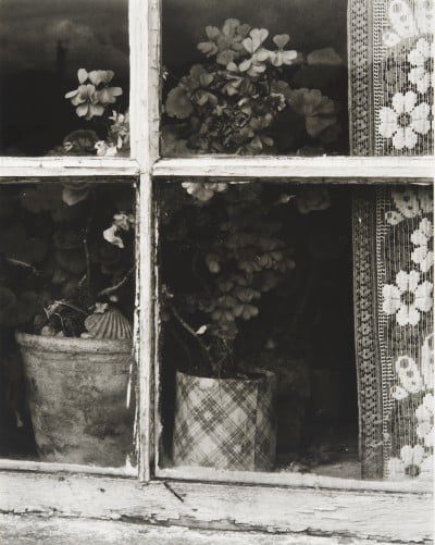 Window, Milton, Hebrides (1954) by Paul Strand